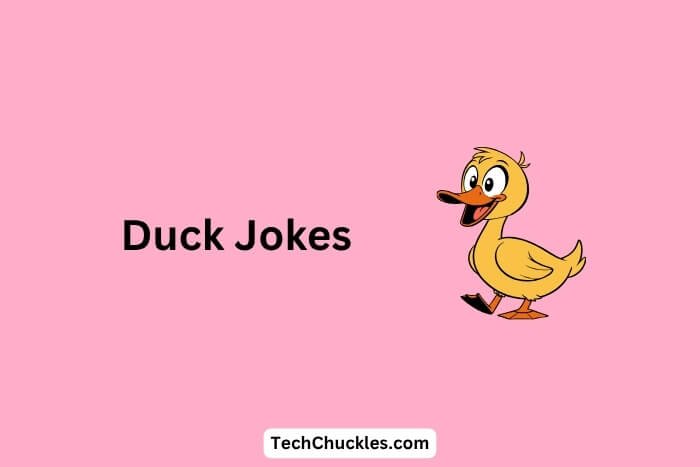 Duck Jokes That Will Float Your Boat with Laughter